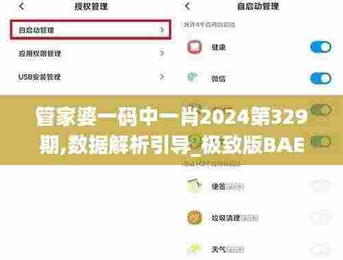 管家婆一码中一肖2024第329期,数据解析引导_极致版BAE11.21
