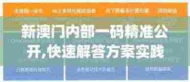 新澳门内部一码精准公开,快速解答方案实践_定制版PYN2.95