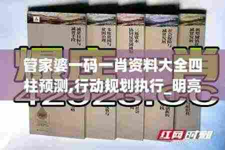 管家婆一码一肖资料大全四柱预测,行动规划执行_明亮版ZSS2.1