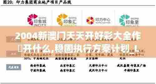 2004新澳门天天开好彩大全作睌开什么,稳固执行方案计划_L版UPP2.28
