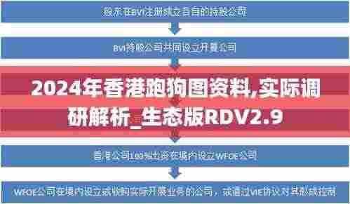 2024年香港跑狗图资料,实际调研解析_生态版RDV2.9
