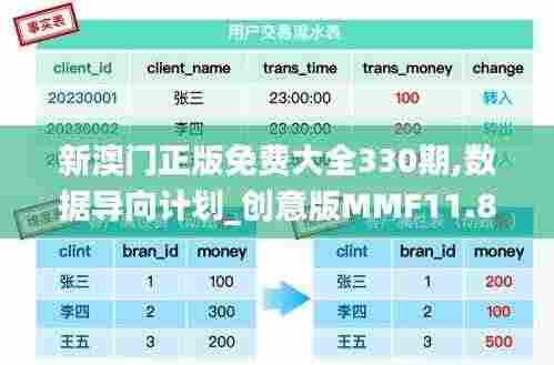 新澳门正版免费大全330期,数据导向计划_创意版MMF11.86