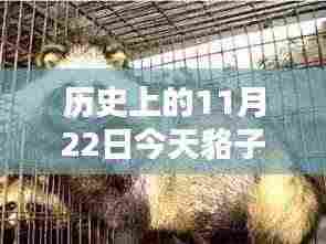 行百里者半九十 第8页