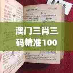 东张西望 第8页