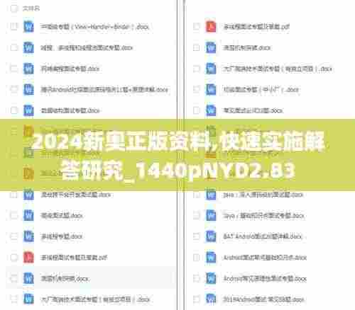 2024新奥正版资料,快速实施解答研究_1440pNYD2.83