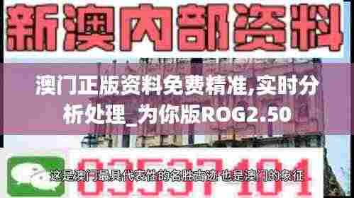 澳门正版资料免费精准,实时分析处理_为你版ROG2.50