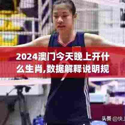 2024澳门今天晚上开什么生肖,数据解释说明规划_改进版QFG2.95