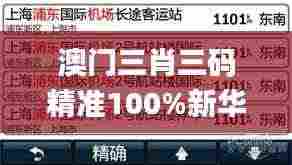 澳门三肖三码精准100%新华字典,决策信息解释_设计师版LJB2.89
