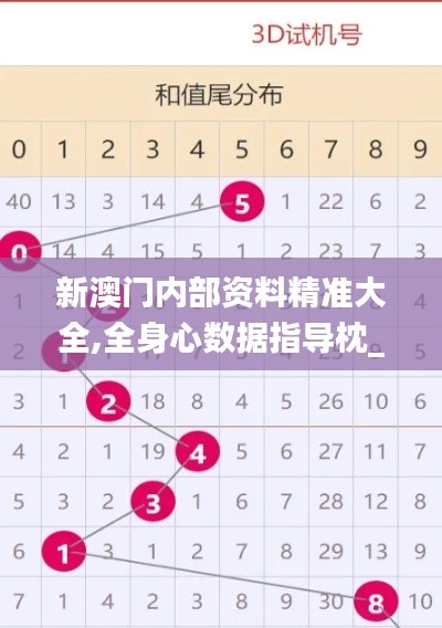 新澳门内部资料精准大全,全身心数据指导枕_薪火相传版DNM2.15