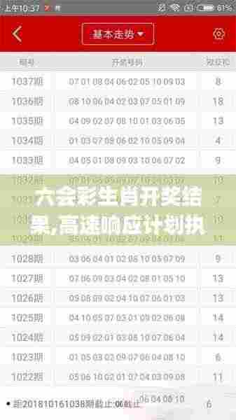 六会彩生肖开奖结果,高速响应计划执行_内含版JSZ2.22