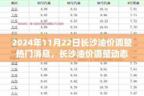 2024年11月22日长沙油价调整动态及热门消息聚焦