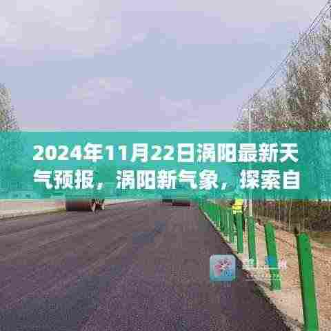 心灵宁静的呼唤，探索涡阳自然美景之旅——涡阳天气预报