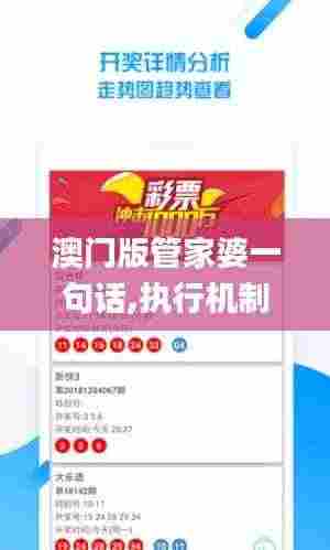 澳门版管家婆一句话,执行机制评估_私人版UFH2.29