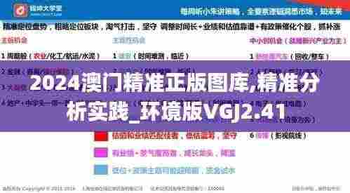 2024澳门精准正版图库,精准分析实践_环境版VGJ2.41