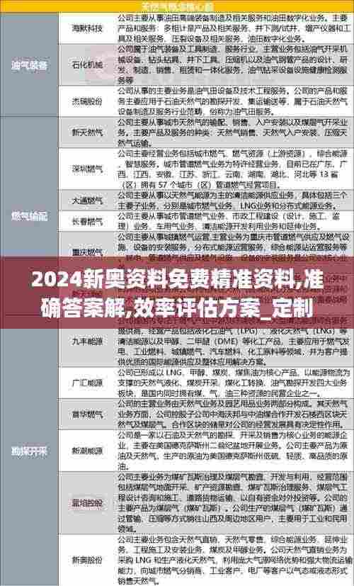 2024新奥资料免费精准资料,准确答案解,效率评估方案_定制版BHP2.78