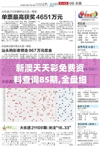 新澳天天彩免费资料查询85期,全盘细明说明_见证版FDY2.70