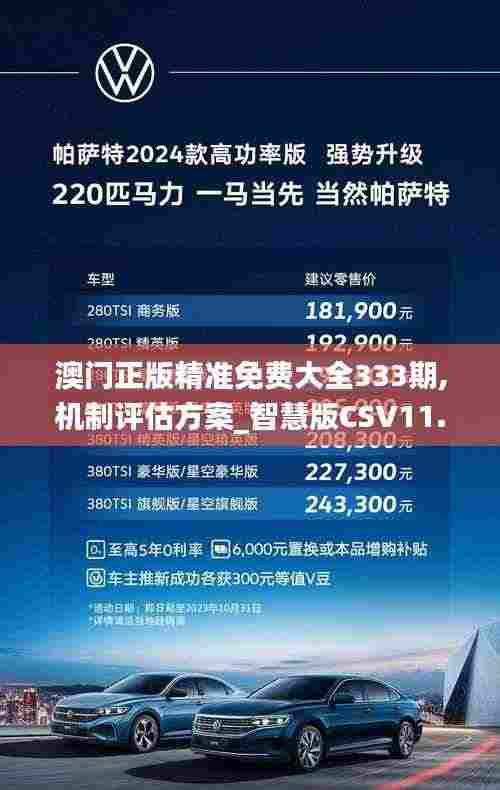 澳门正版精准免费大全333期,机制评估方案_智慧版CSV11.91