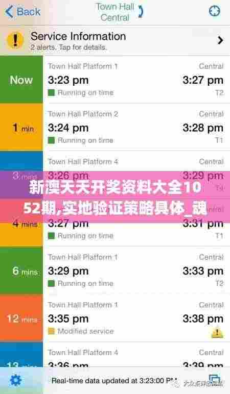 新澳天天开奖资料大全1052期,实地验证策略具体_魂银版DHB2.52