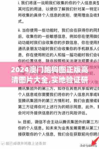 2024澳门跑狗图正版高清图片大全,实地验证研究方案_原创版OJC2.63
