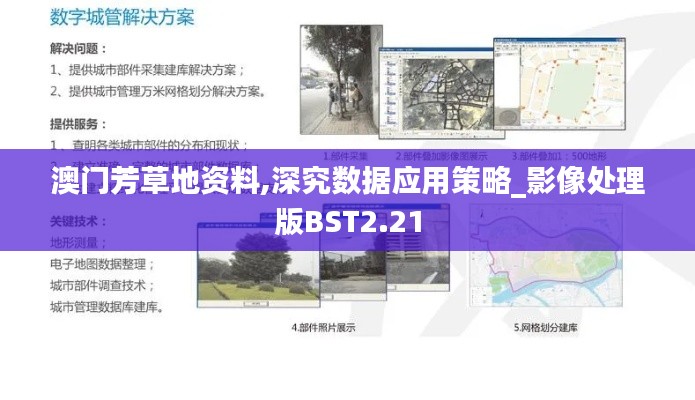 澳门芳草地资料,深究数据应用策略_影像处理版BST2.21