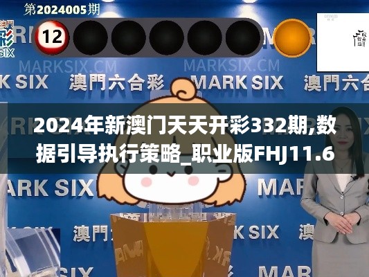 2024年新澳门天天开彩332期,数据引导执行策略_职业版FHJ11.65
