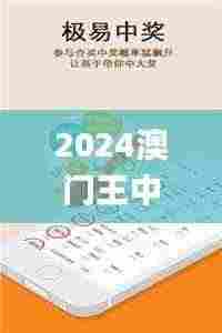 2024澳门王中王100%期期中,全面信息解释定义_内置版WMO2.52