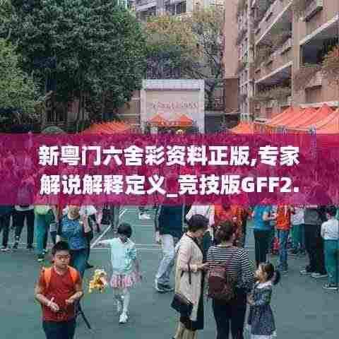 新粤门六舍彩资料正版,专家解说解释定义_竞技版GFF2.48