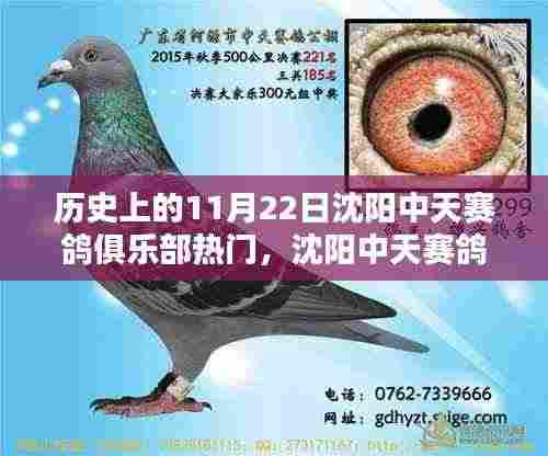 揭秘历史热门日，沈阳中天赛鸽俱乐部携手科技革新，体验高科技赛鸽盛宴的独家魅力