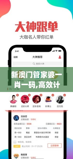 新澳门管家婆一肖一码,高效计划实施_环保版TCE2.80