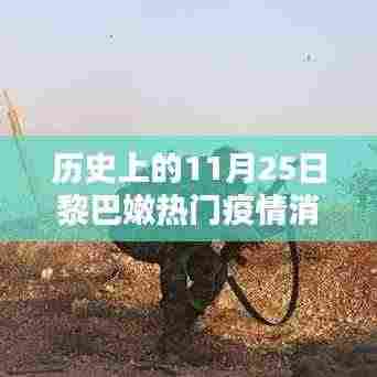 黎巴嫩疫情深度解析，历史上的11月25日疫情消息回顾