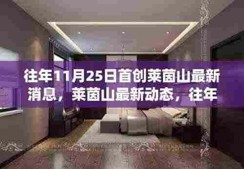 莱茵山最新动态揭秘，深度解析往年11月25日首创消息及最新进展