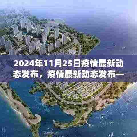 疫情最新动态发布，共同应对挑战，掌握最新信息（初学者与进阶用户指南）——2024年11月25日更新