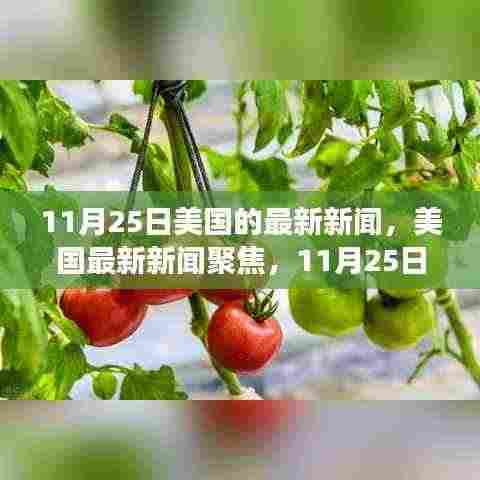 美国最新新闻聚焦，深度解读三大要点（11月25日）