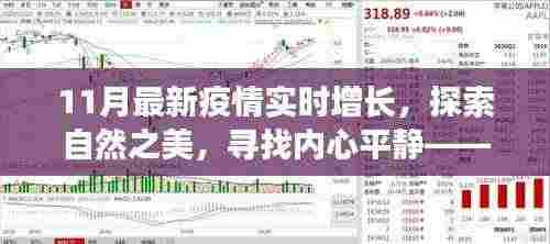 疫情下的心灵探索之旅，自然之美与内心平静的追寻