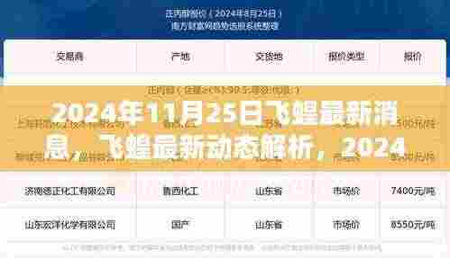 2024年11月25日飞蝗最新动态与观点阐述