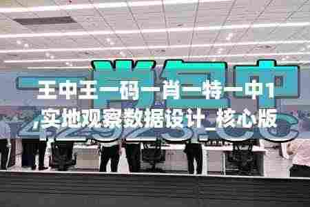 王中王一码一肖一特一中1,实地观察数据设计_核心版YYL9.22
