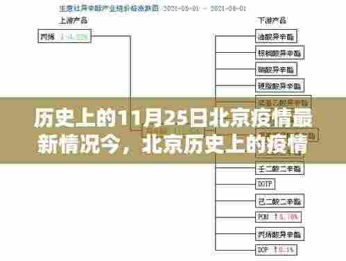 北京疫情回顾，聚焦历史上的11月25日疫情最新情况
