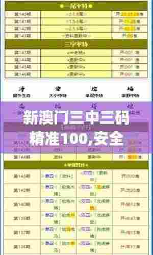 新澳门三中三码精准100,安全性方案执行_随机版TML9.15