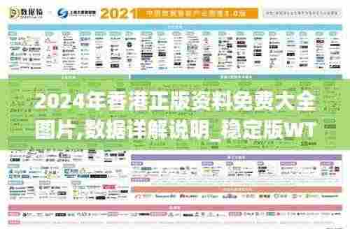 2024年香港正版资料免费大全图片,数据详解说明_稳定版WTG9.68