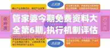 管家婆今期免费资料大全第6期,执行机制评估_传承版DMB9.94