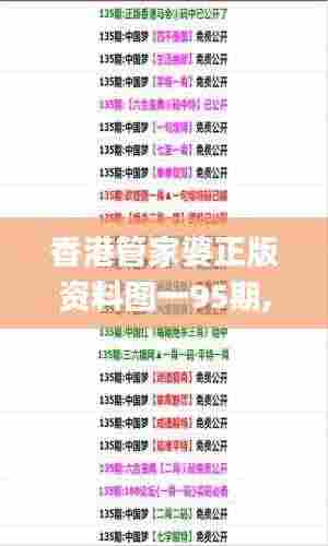 香港管家婆正版资料图一95期,系统分析方案设计_明亮版MAM9.74
