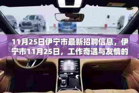 伊宁市最新招聘信息，工作奇遇与友情的温暖邂逅在11月25日