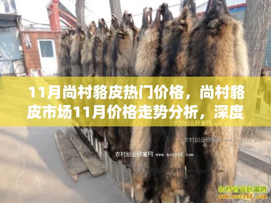 插翅难飞 第5页