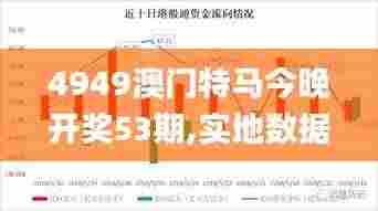 4949澳门特马今晚开奖53期,实地数据评估分析_超高清版OKI9.6