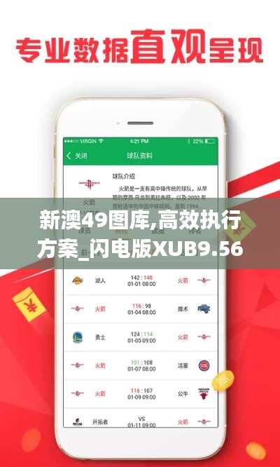 新澳49图库,高效执行方案_闪电版XUB9.56