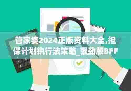 管家婆2024正版资料大全,担保计划执行法策略_强劲版BFF9.39