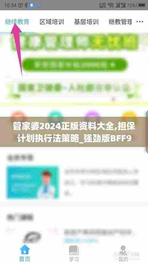 管家婆2024正版资料大全,担保计划执行法策略_强劲版BFF9.39