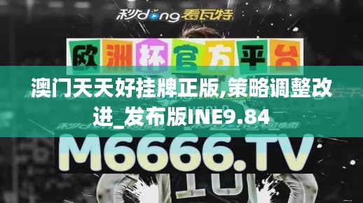 澳门天天好挂牌正版,策略调整改进_发布版INE9.84
