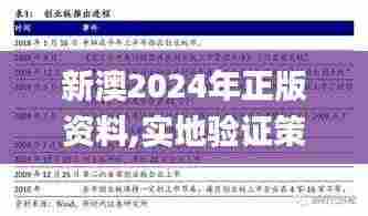 新澳2024年正版资料,实地验证策略具体_感知版TNC9.87