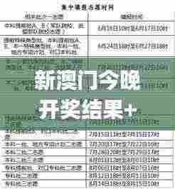 新澳门今晚开奖结果+开奖,实地验证研究方案_可靠版JFE9.64
